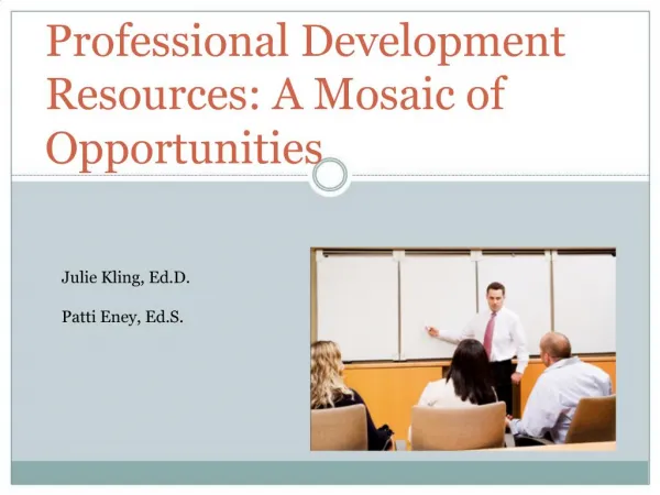 Professional Development Resources: A Mosaic of Opportunities