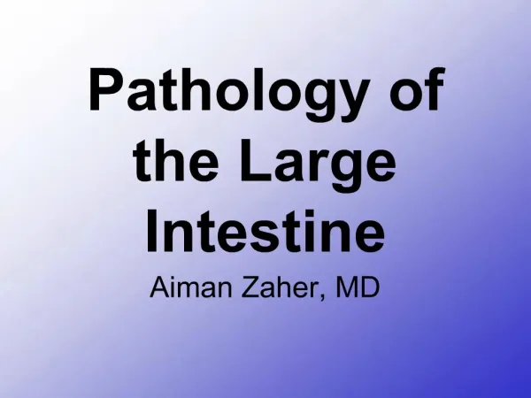 Pathology of the Large Intestine