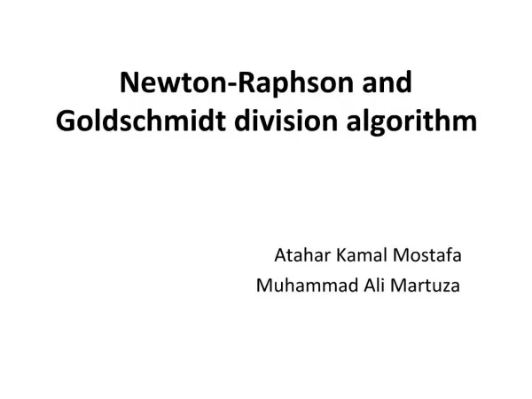 Newton-Raphson and Goldschmidt division algorithm