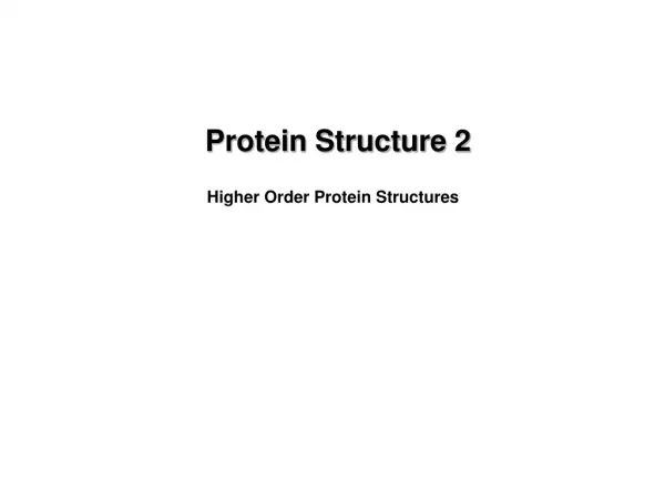 Protein Structure 2