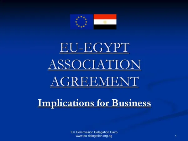 EU-EGYPT ASSOCIATION AGREEMENT