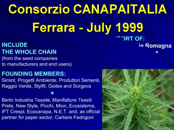 Consorzio CANAPAITALIA Ferrara - July 1999