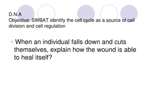 D.N.A Objective: SWBAT identify the cell cycle as a source of cell division and cell regulation