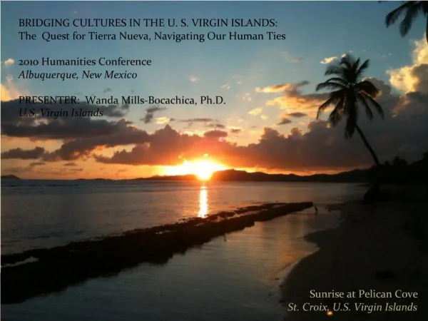 Bridging Cultures Panel Discussion: U.S. Virgin Islands
