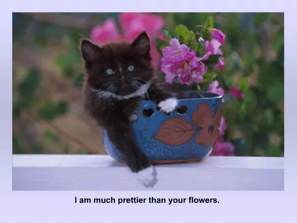 I am much prettier than your flowers.