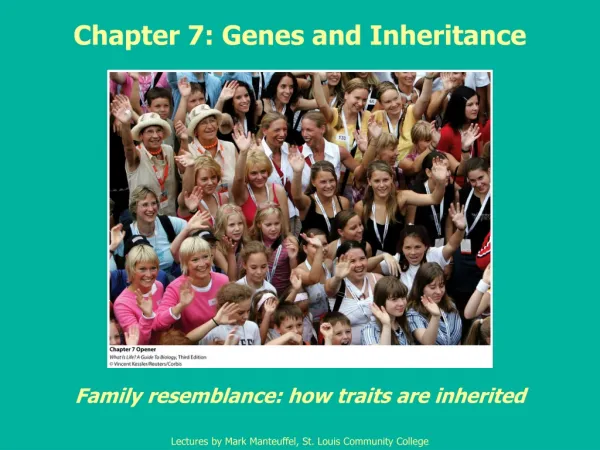 Chapter 7: Genes and Inheritance