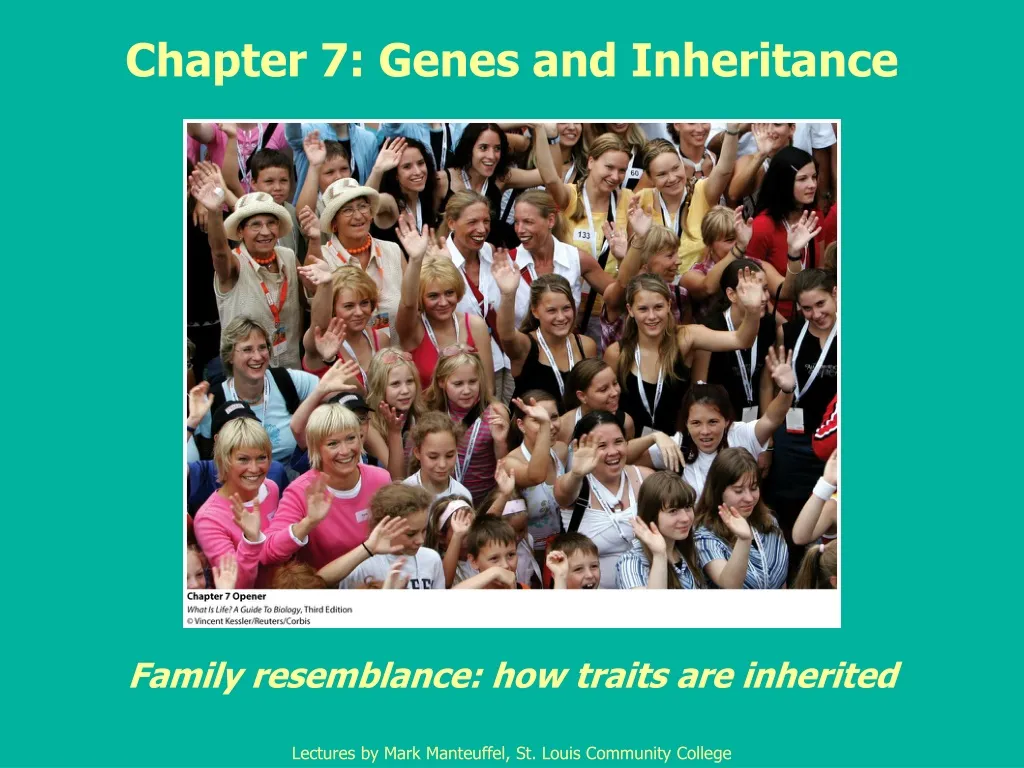 chapter 7 genes and inheritance
