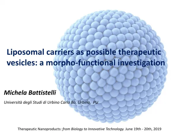 Liposomal carriers as possible therapeutic vesicles : a morpho-functional investigation