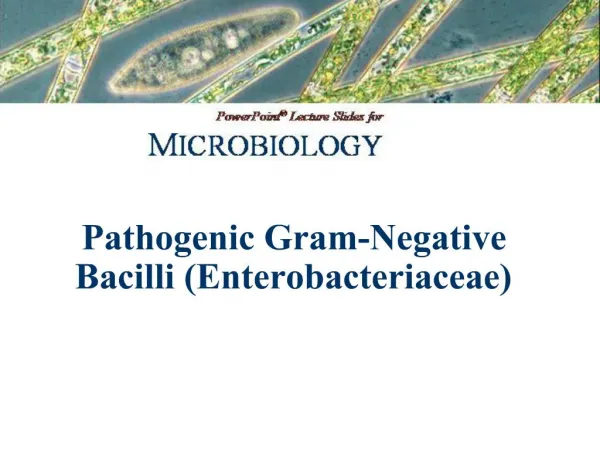 Pathogenic Gram-Negative Bacilli Enterobacteriaceae