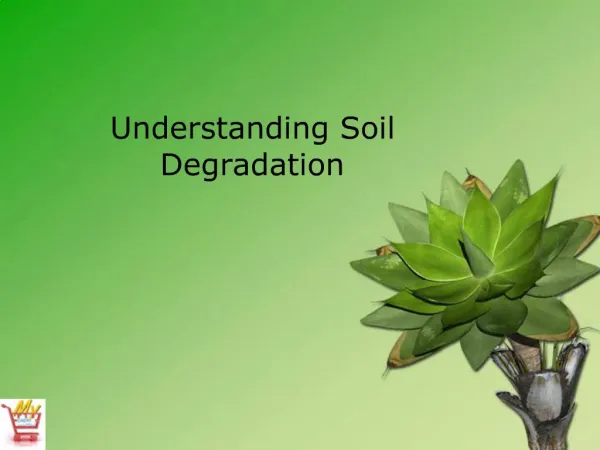Understanding Soil Degradation