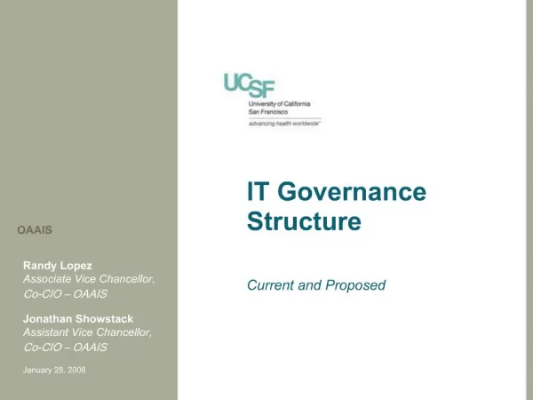 IT Governance Structure