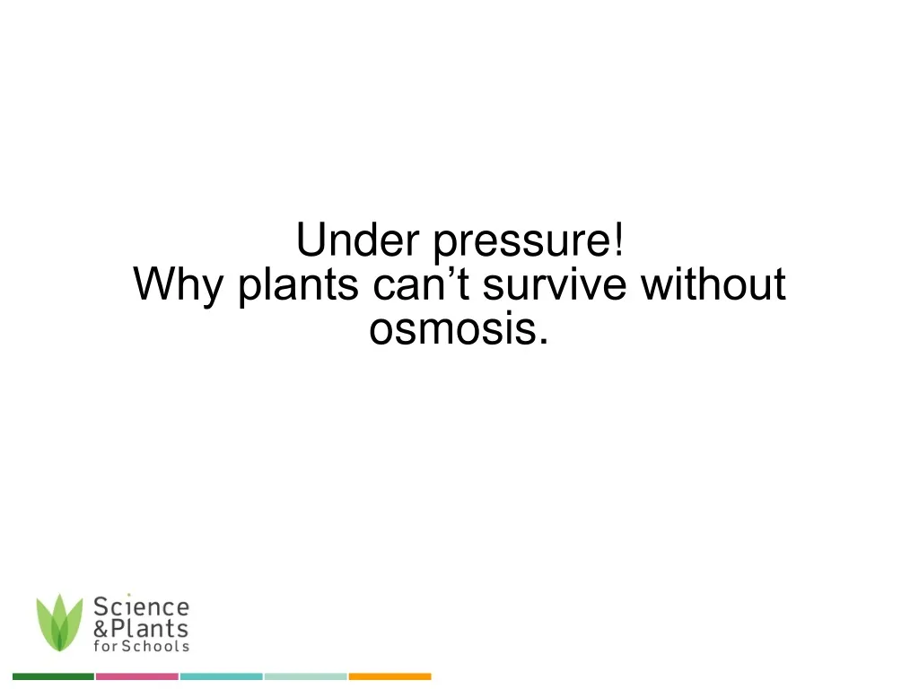 under pressure why plants can t survive without