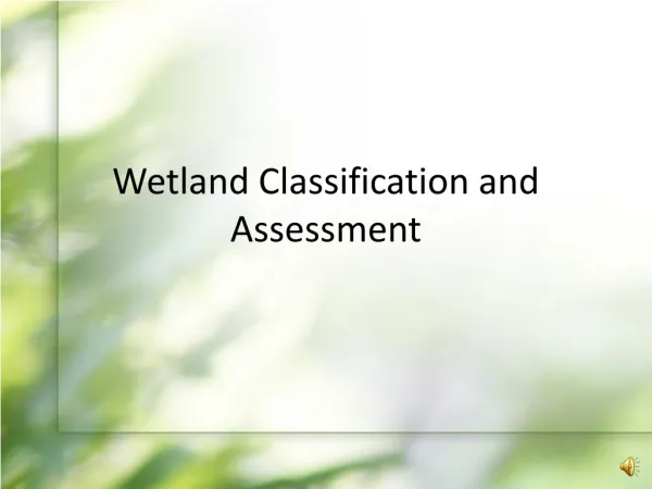 Wetland Classification and Assessment