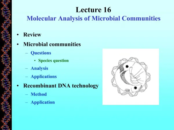 Lecture 16 Molecular Analysis of Microbial Communities
