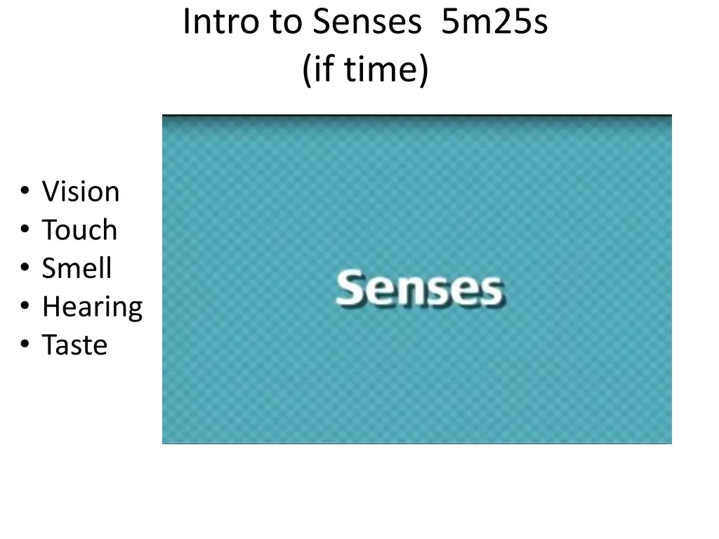 intro to senses 5m25s if time