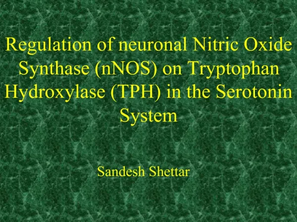 Regulation of neuronal Nitric Oxide Synthase nNOS on Tryptophan Hydroxylase TPH in the Serotonin System