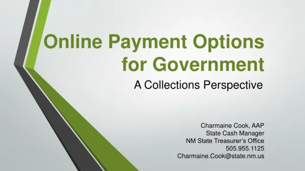 Online Payment Options for Government