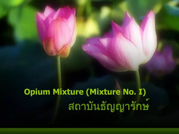 Opium Mixture Mixture No. I