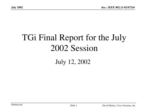 TGi Final Report for the July 2002 Session