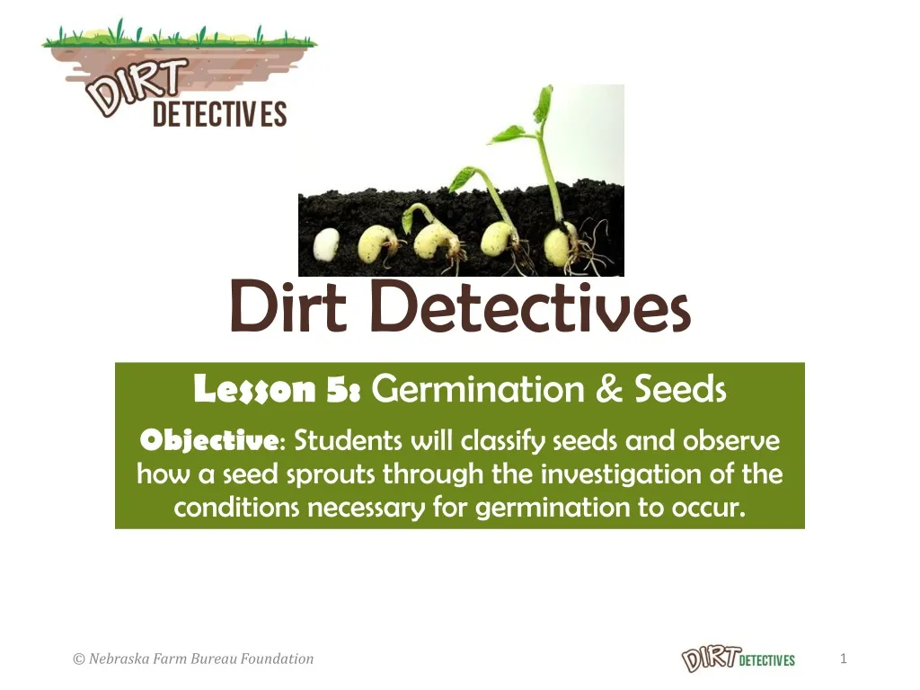 dirt detectives