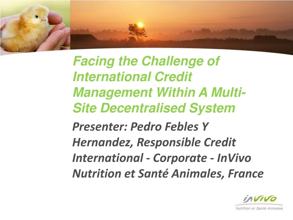 facing the challenge of international credit management within a multi site decentralised system