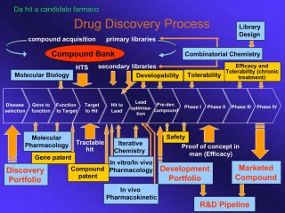Drug Discovery Process - slide 1