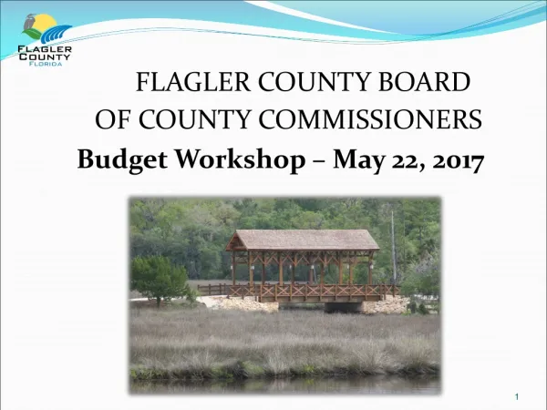 FLAGLER COUNTY BOARD OF COUNTY COMMISSIONERS Budget Workshop – May 22, 2017