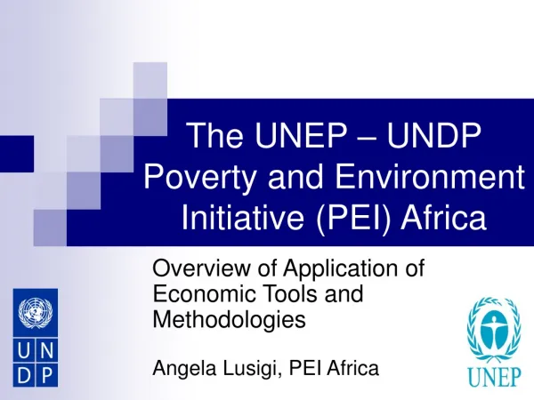 The UNEP – UNDP Poverty and Environment Initiative (PEI) Africa
