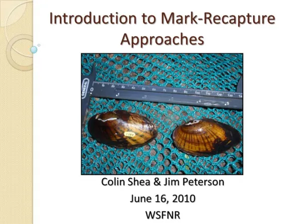 Introduction to Mark-Recapture Approaches