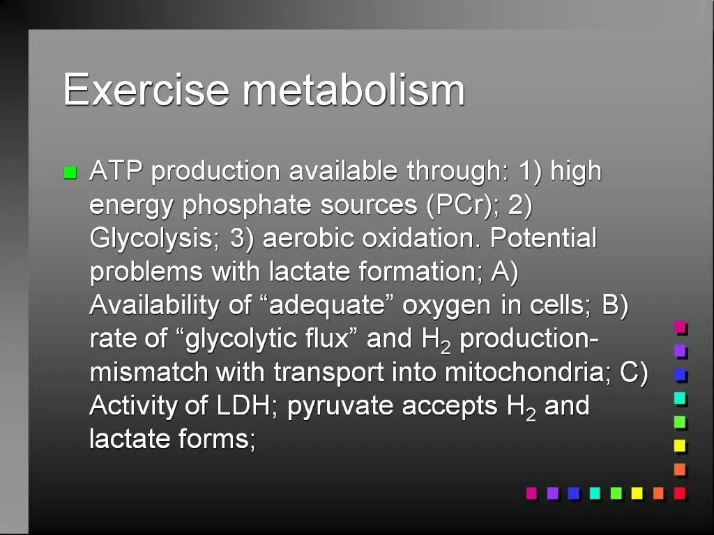 PPT - Exercise metabolism PowerPoint Presentation, free download - ID ...