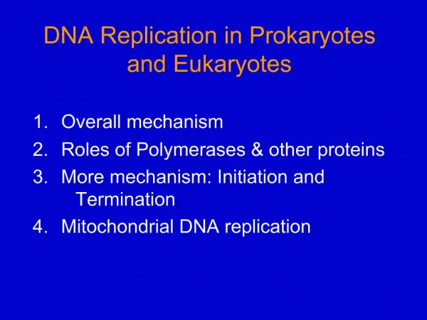 DNA Replication in Prokaryotes and Eukaryotes