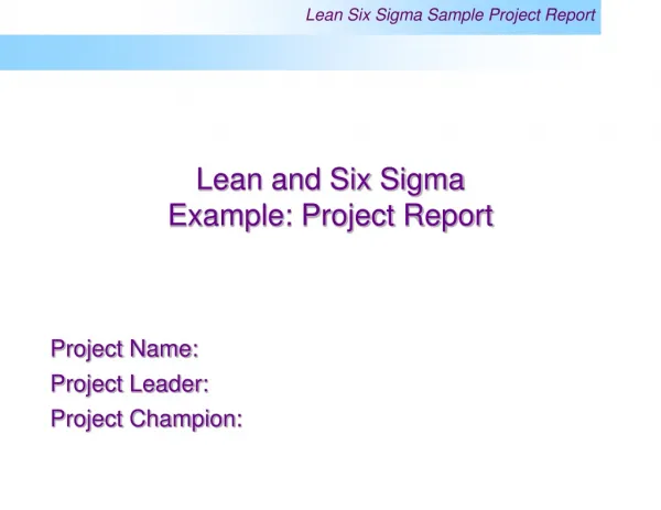 Lean and Six Sigma Example: Project Report