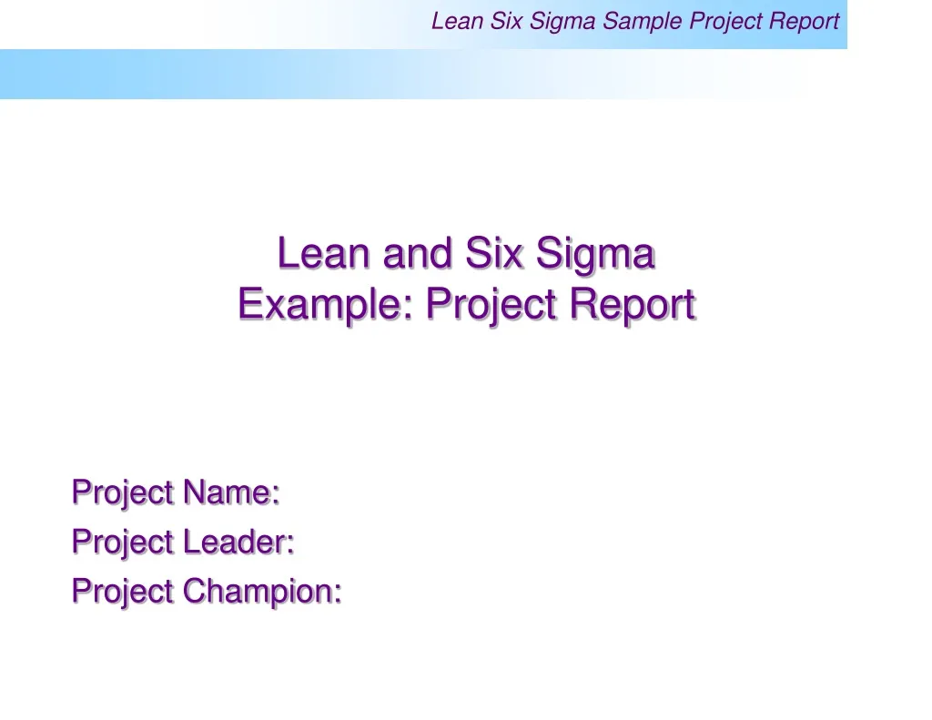 lean and six sigma example project report