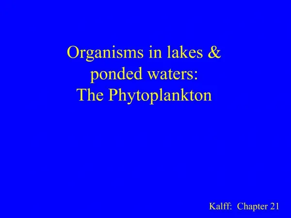 Organisms in lakes ponded waters: The Phytoplankton