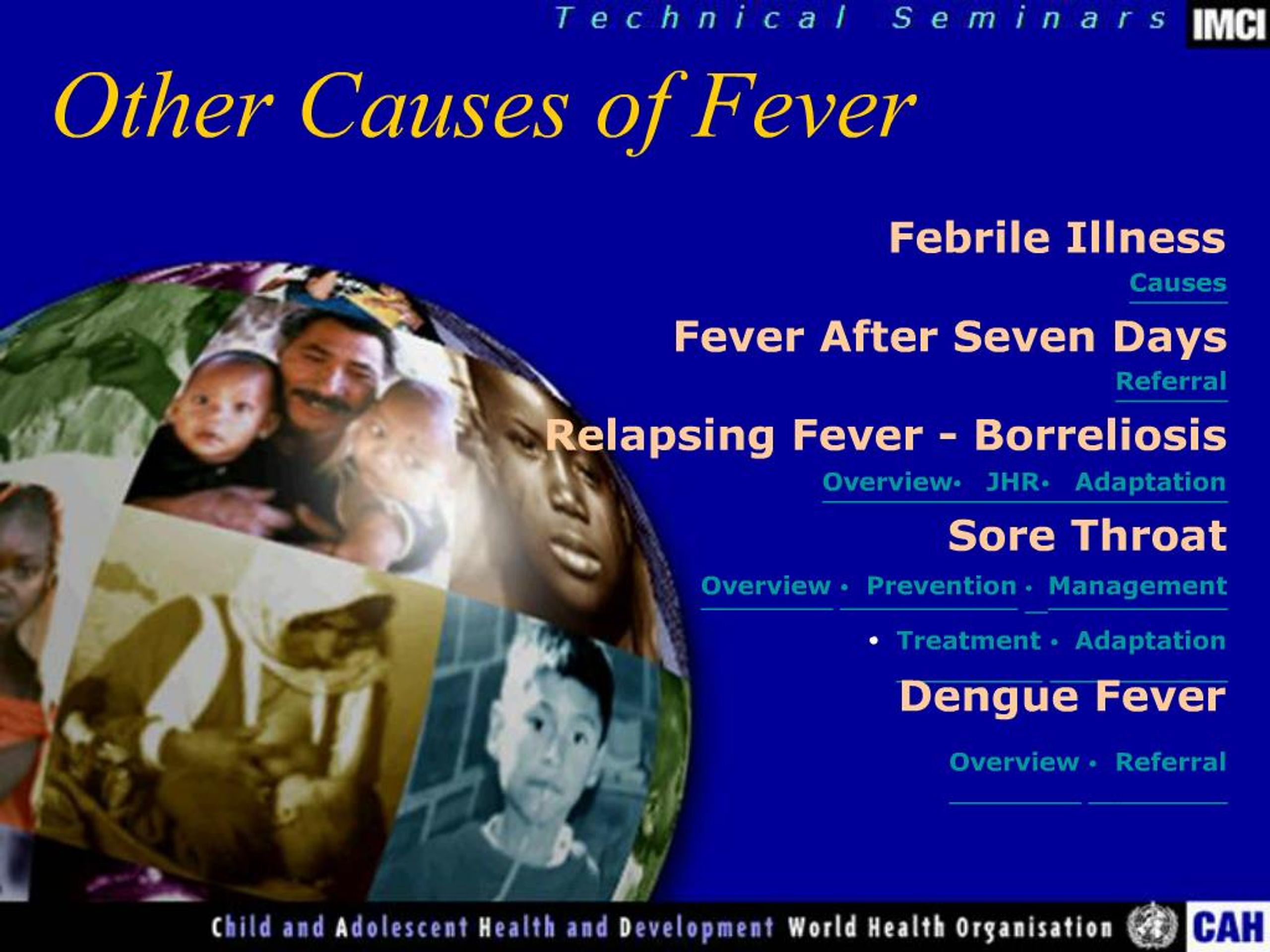 PPT - Other Causes of Fever PowerPoint Presentation, free download - ID ...