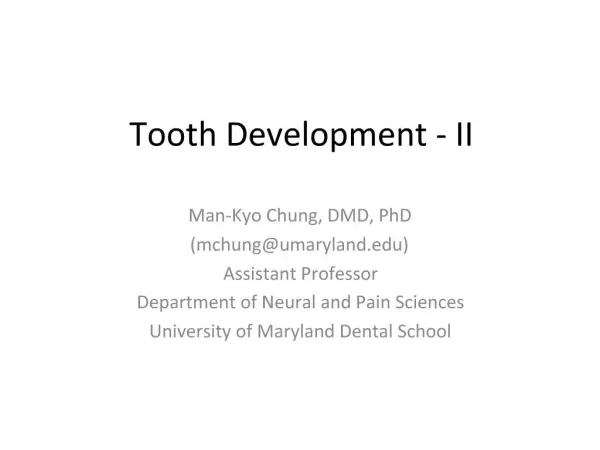 Tooth Development - II