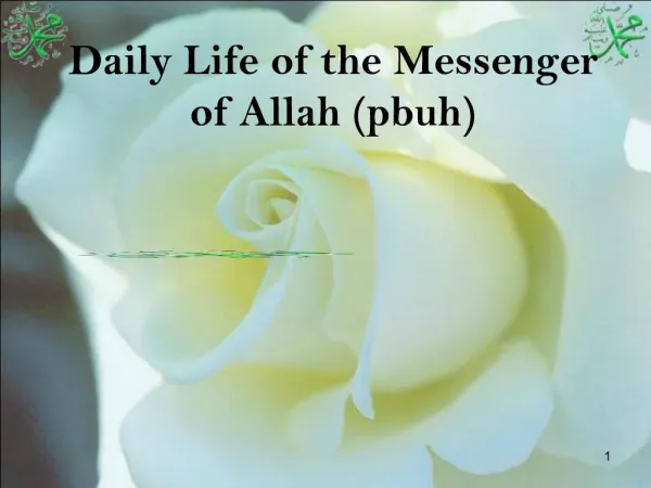 Daily Life of the Messenger of Allah pbuh