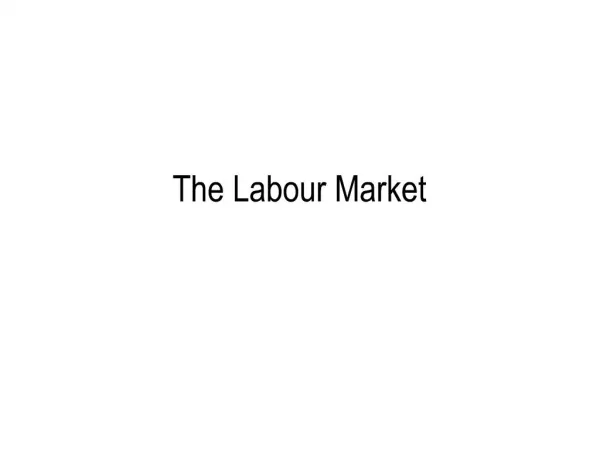 The Labour Market