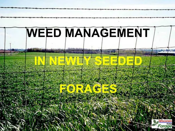WEED MANAGEMENT IN NEWLY SEEDED FORAGES