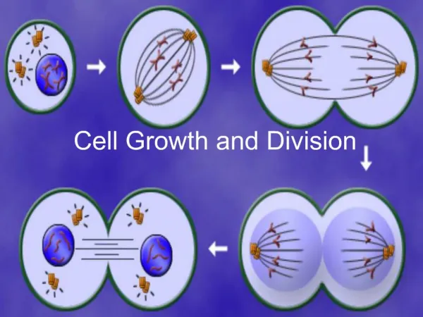 Cell Growth and Division