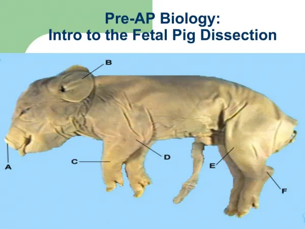 Pre-AP Biology: Intro to the Fetal Pig Dissection