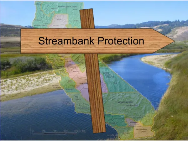 Streambank Protection