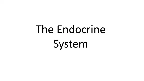 the endocrine system