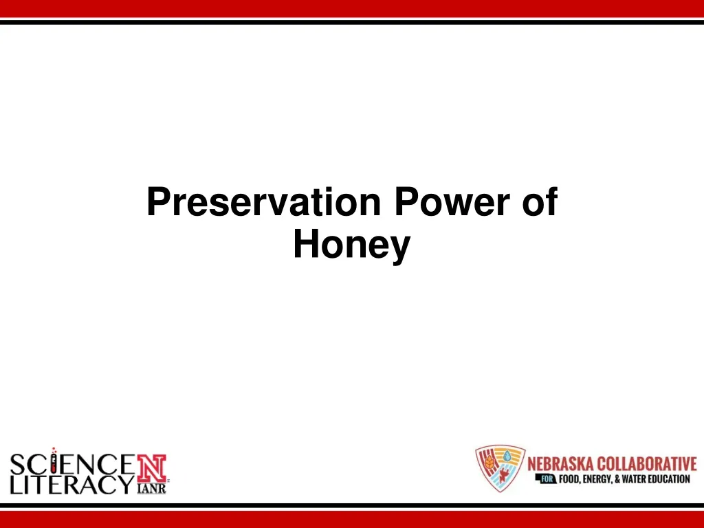 preservation power of honey