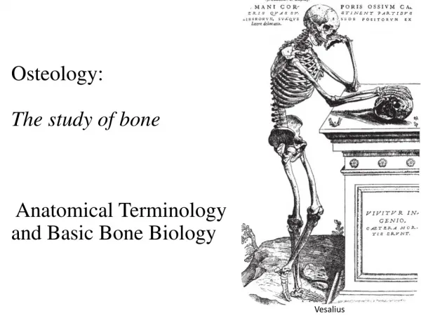 Osteology: The study of bone Anatomical Terminology and Basic Bone Biology
