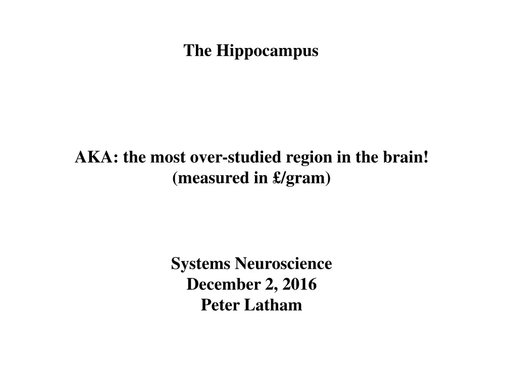 the hippocampus