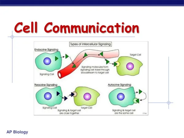 Cell Communication