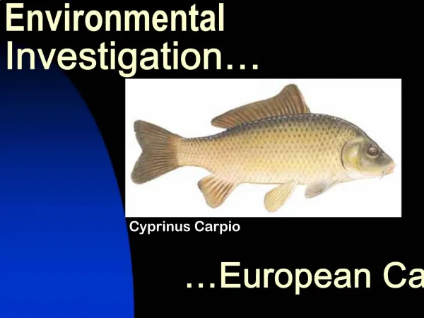 Environmental Investigation