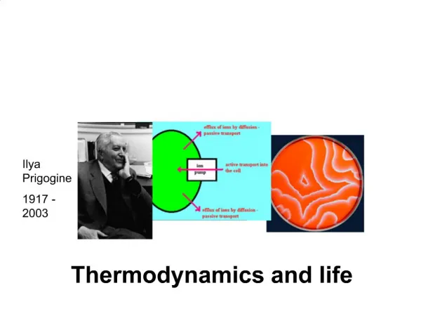 Thermodynamics and life
