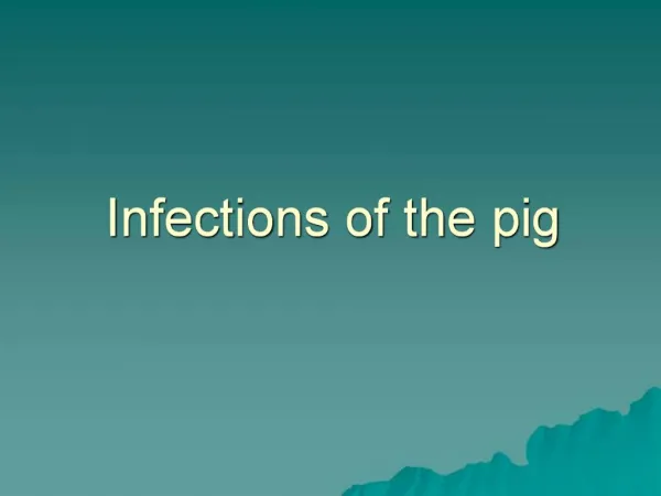 Infections of the pig